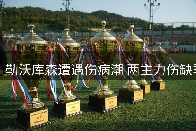 勒沃库森遭遇伤病潮 两主力伤缺季前关键战