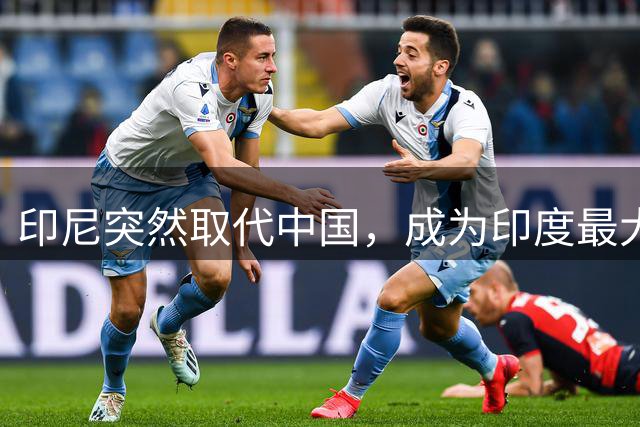 印尼突然取代中国，成为印度最大的太阳能电池供应商