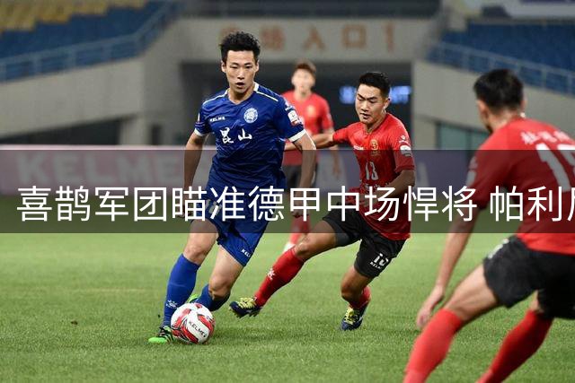 喜鹊军团瞄准德甲中场悍将 帕利尼亚或成纽卡新核