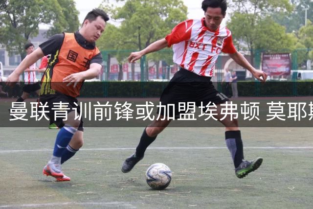 曼联青训前锋或加盟埃弗顿 莫耶斯力促锋线年轻化