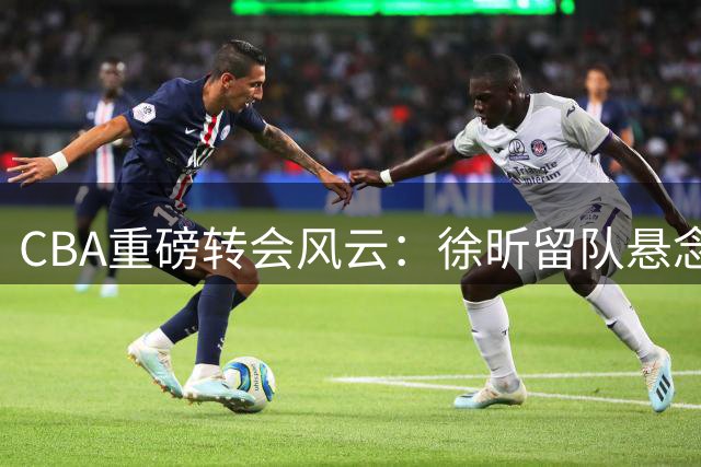 CBA重磅转会风云：徐昕留队悬念揭晓，辽篮锁定“小赵睿