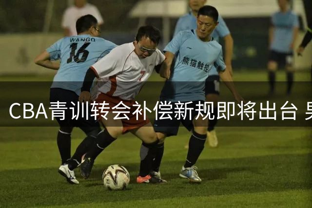 CBA青训转会补偿新规即将出台 男篮国手培养单位最高可获11万年费